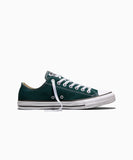 [正規品] converse チャックテイラーオールスターキャンバススティーリーパインA18101C  [関税込み]