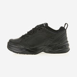 [正規品] Nike エアモナークIV 415445 [関税込み]